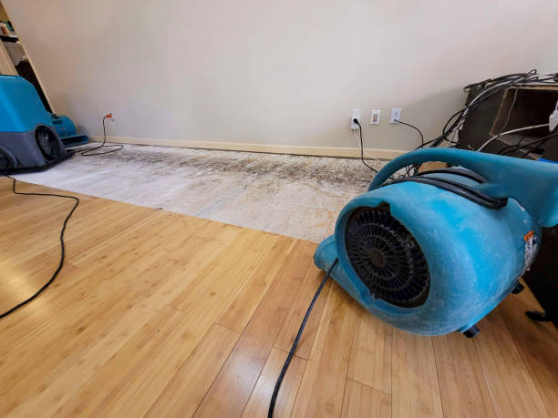 Professional Water Damage Repair technician working in Woodstock, IL